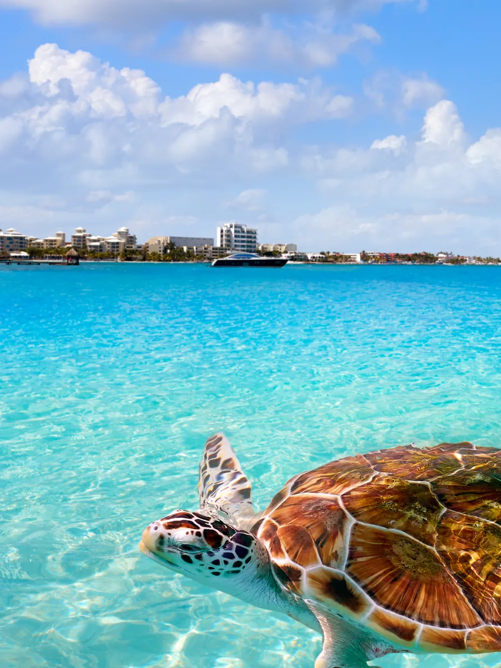 Cancún